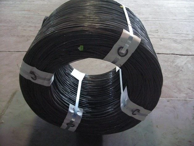 Patented High Carbon Steel Wire